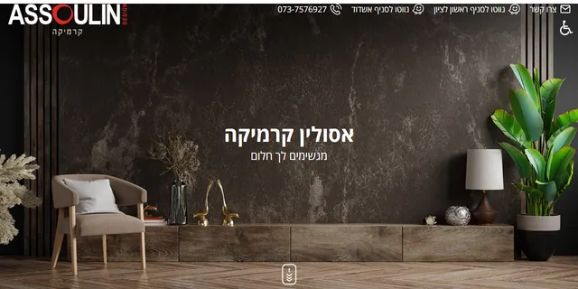 צילום האתר של אסולין קרמיקה